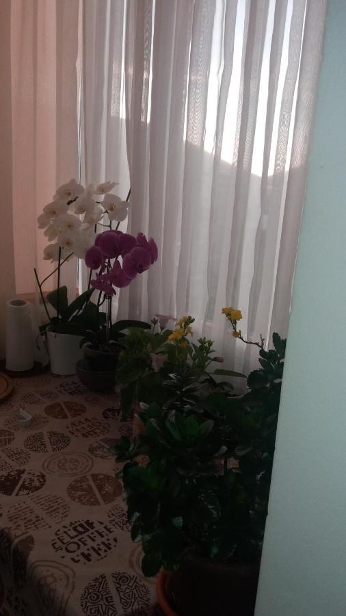 Jorali Appartement Oradea Buitenkant foto